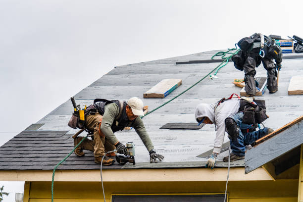 Professional Roof Inspection technician working in Branchport, NY